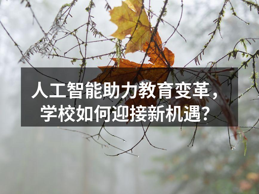 人工智能助力教育变革，学校如何迎接新机遇？